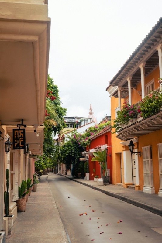 Smal gata i Cartagena med balkonger, växter och fallna blomblad